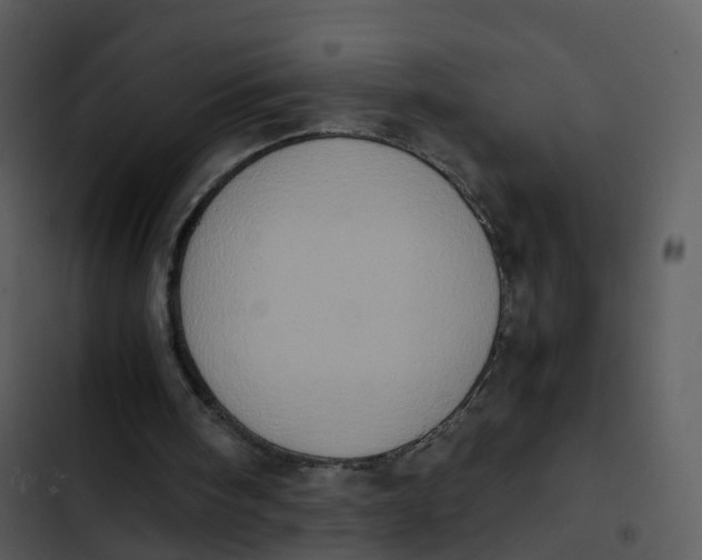 X0000102860098200809081315