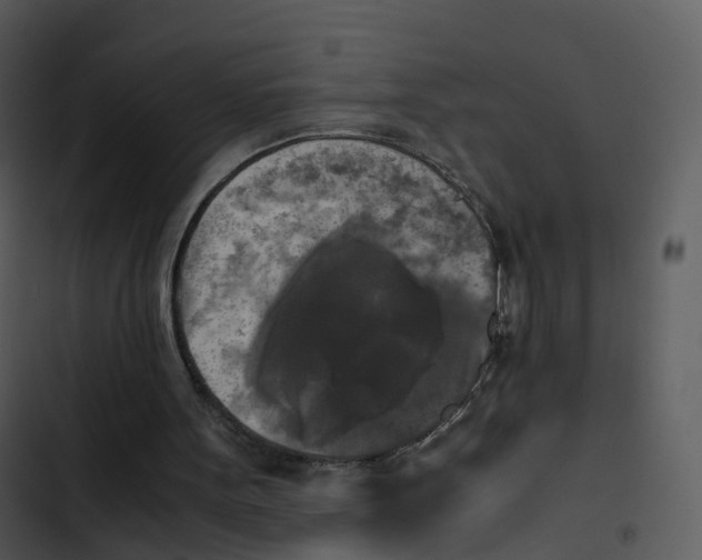 X0000102860099200809081315