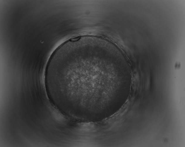 X0000102860100200809081315