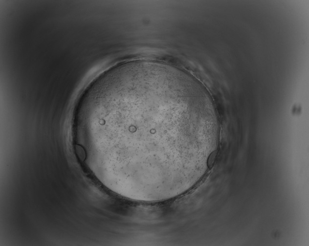 X0000102860101200809081315