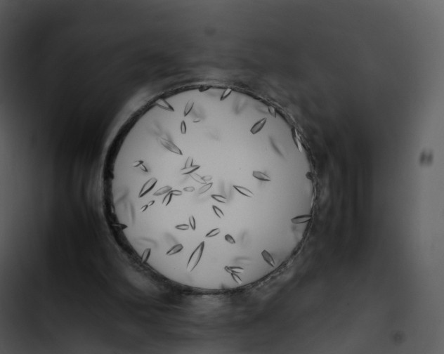 X0000102860102200809081315