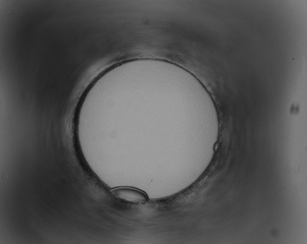 X0000102860103200809081315