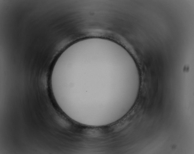 X0000102860106200809081315