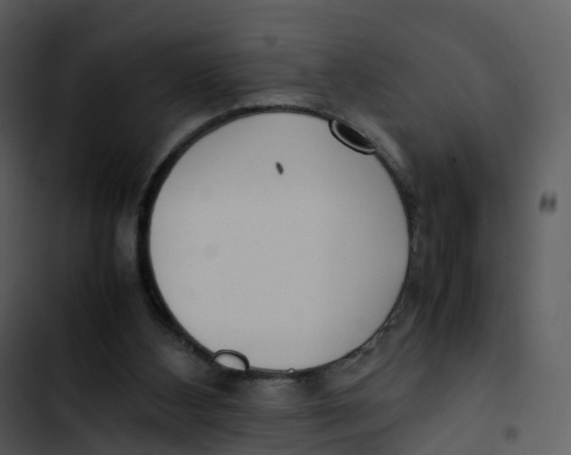 X0000102860108200809081315