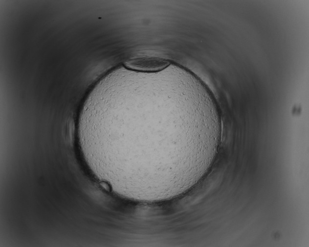 X0000102860109200809081315