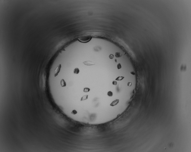 X0000102860110200809081315