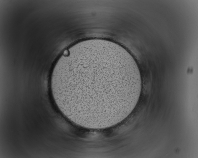 X0000102860111200809081315