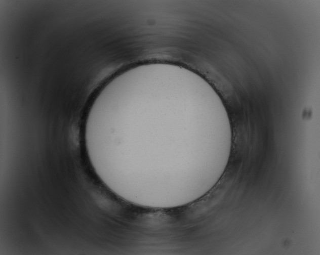 X0000102860112200809081315