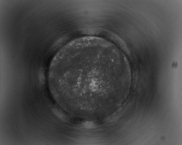 X0000102860114200809081315