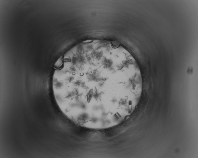 X0000102860115200809081315