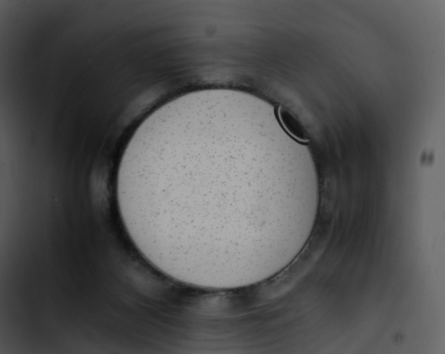 X0000102860116200809081315