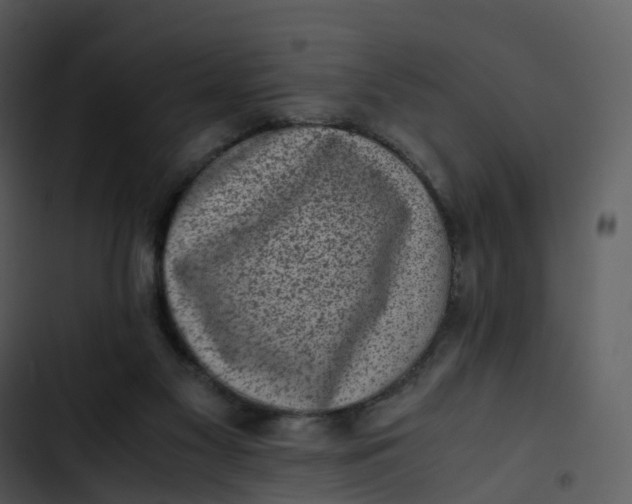 X0000102860117200809081315