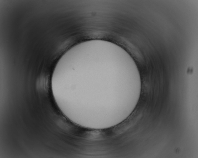 X0000102860118200809081315