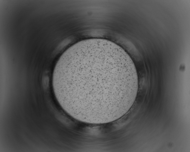 X0000102860120200809081315