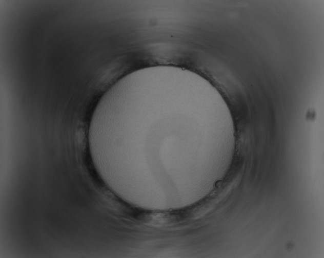 X0000102860121200809081315