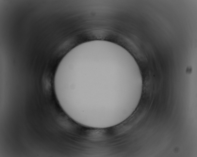 X0000102860122200809081315