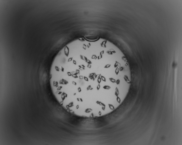 X0000102860123200809081315