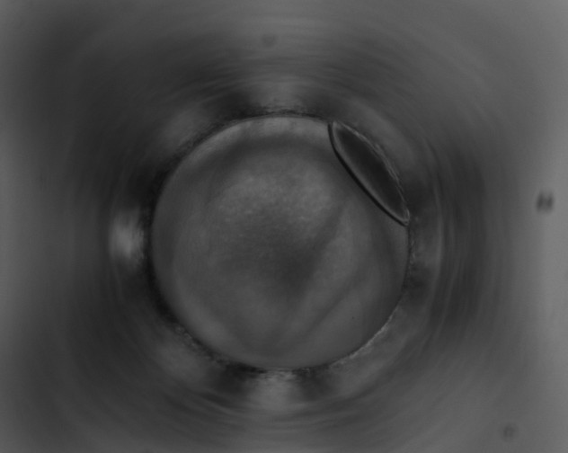 X0000102860124200809081315