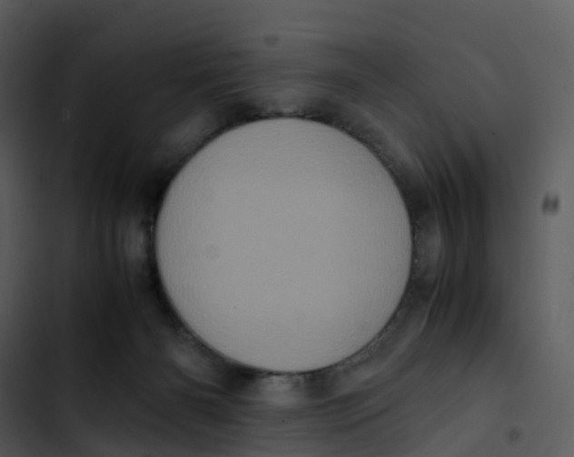 X0000102860126200809081315