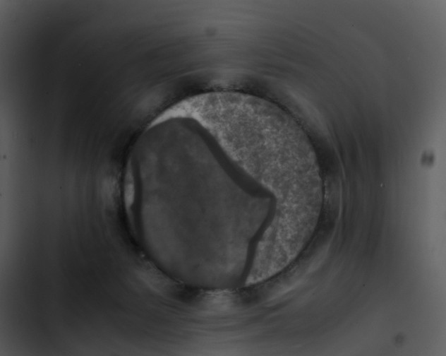 X0000102860127200809081315