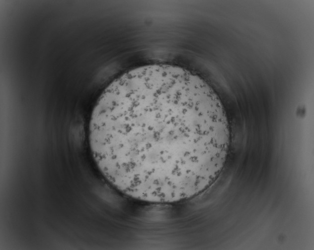 X0000102860128200809081315