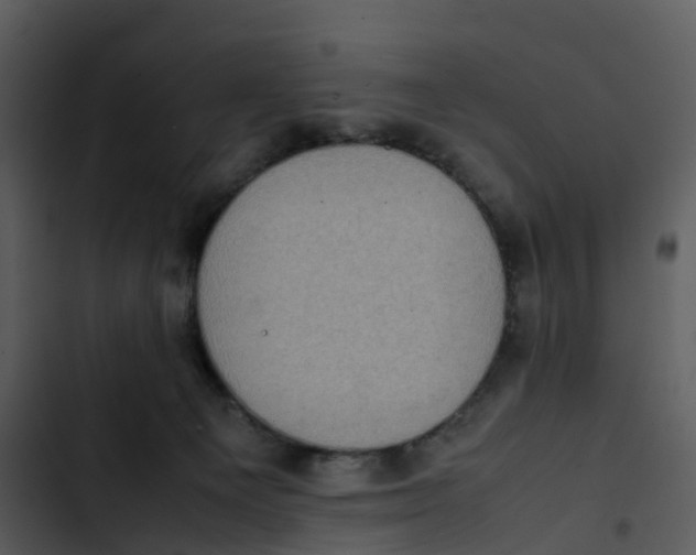 X0000102860129200809081315