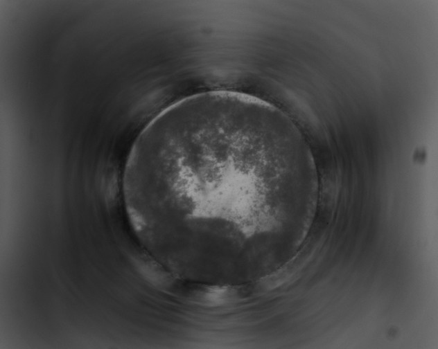 X0000102860130200809081315