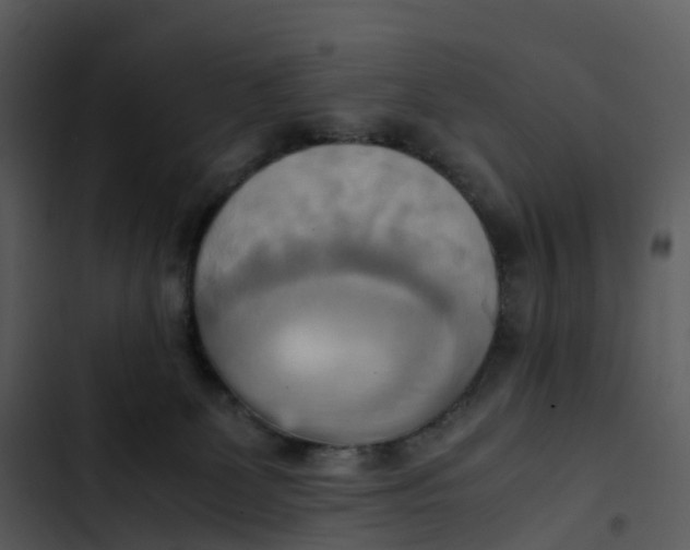 X0000102860131200809081315