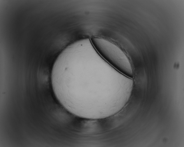 X0000102860132200809081315