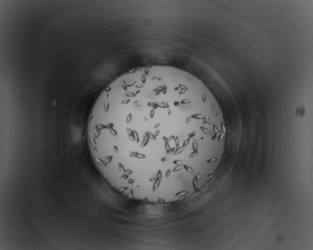 X0000102860134200809081315