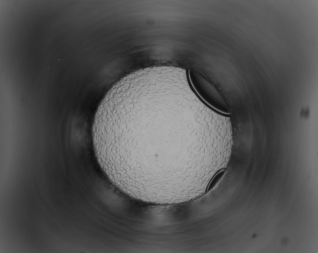 X0000102860136200809081315