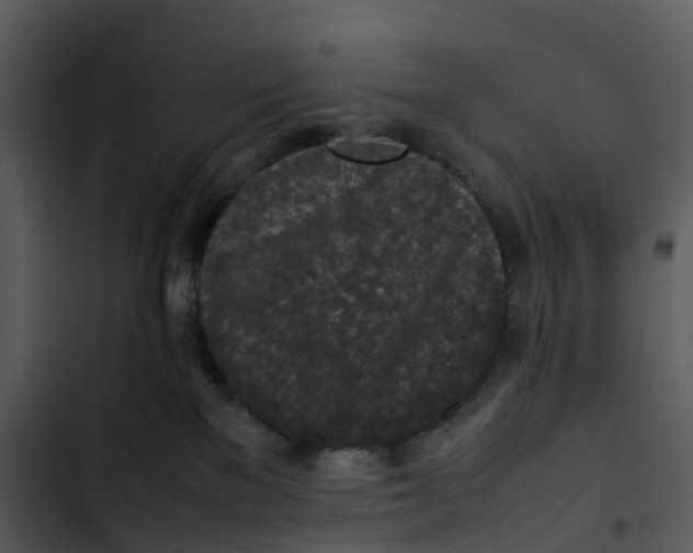 X0000102860137200809081315