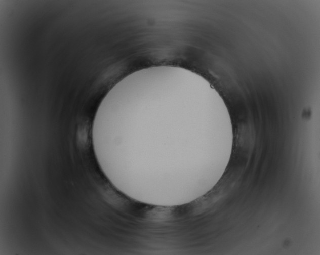 X0000102860138200809081315