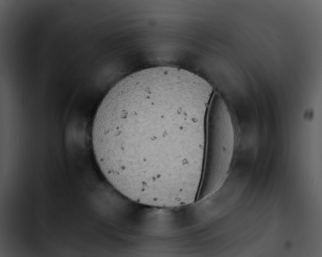 X0000102860140200809081314