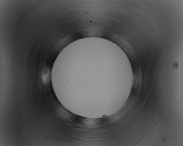 X0000102860142200809081314