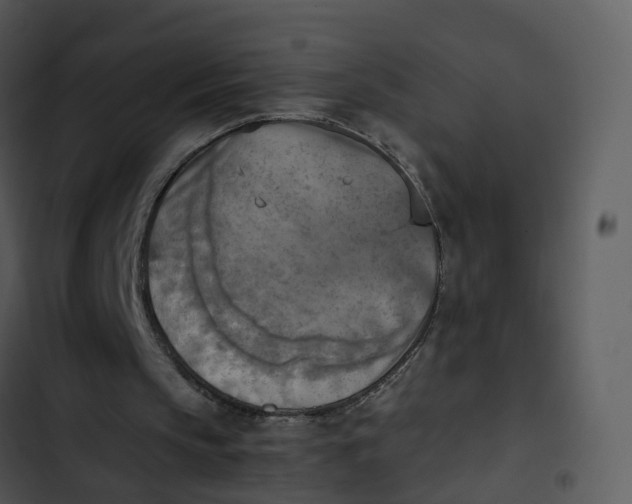 X0000102860145200809081314