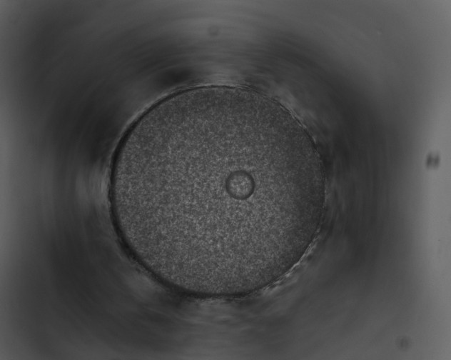 X0000102860146200809081314