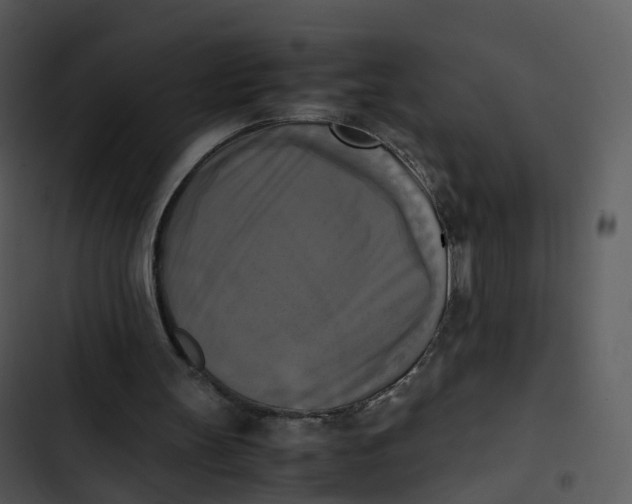 X0000102860147200809081314