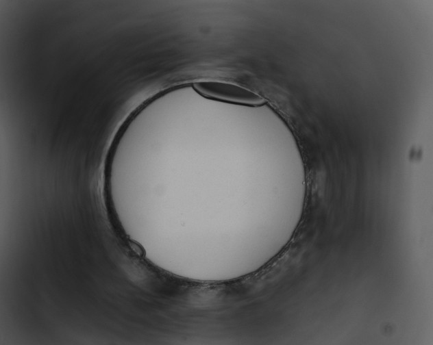 X0000102860148200809081314