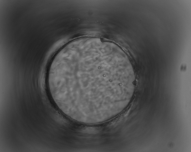 X0000102860149200809081314