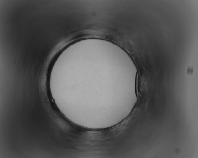 X0000102860150200809081314