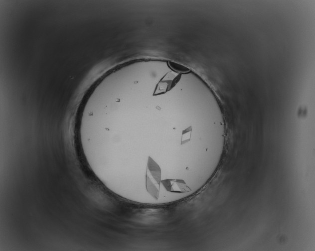 X0000102860151200809081314