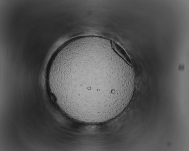 X0000102860152200809081314