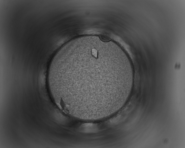 X0000102860153200809081314