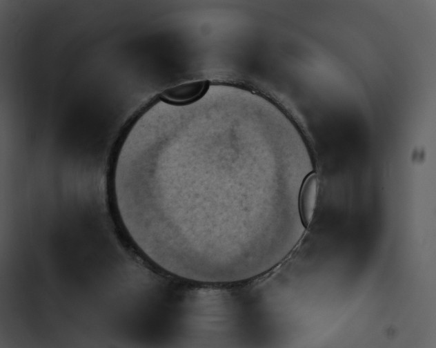 X0000102860154200809081314