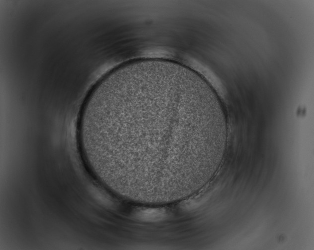 X0000102860155200809081314