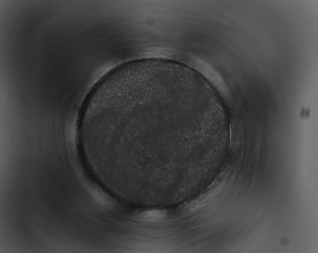 X0000102860156200809081314