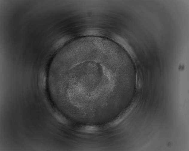 X0000102860157200809081314