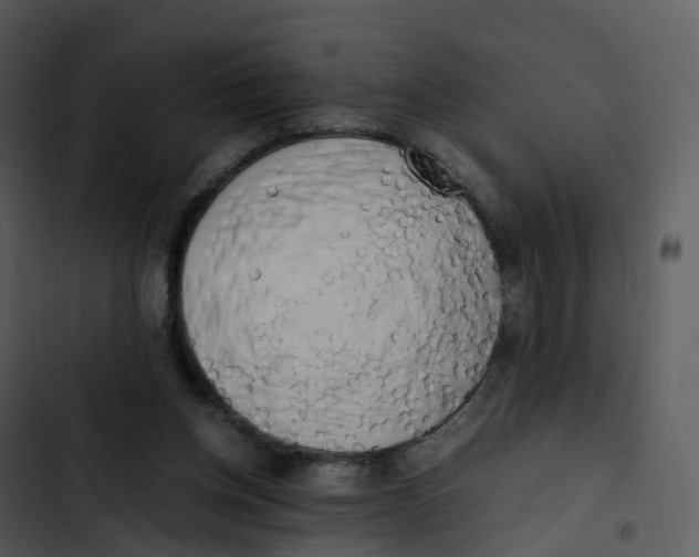 X0000102860158200809081314