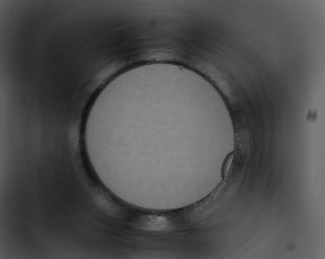 X0000102860159200809081314